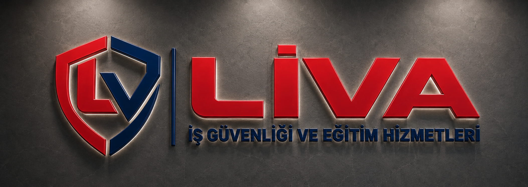 Liva OSGB logosu