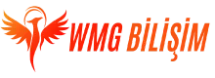Çerkezköy Web Tasarım | WMG Bilişim
